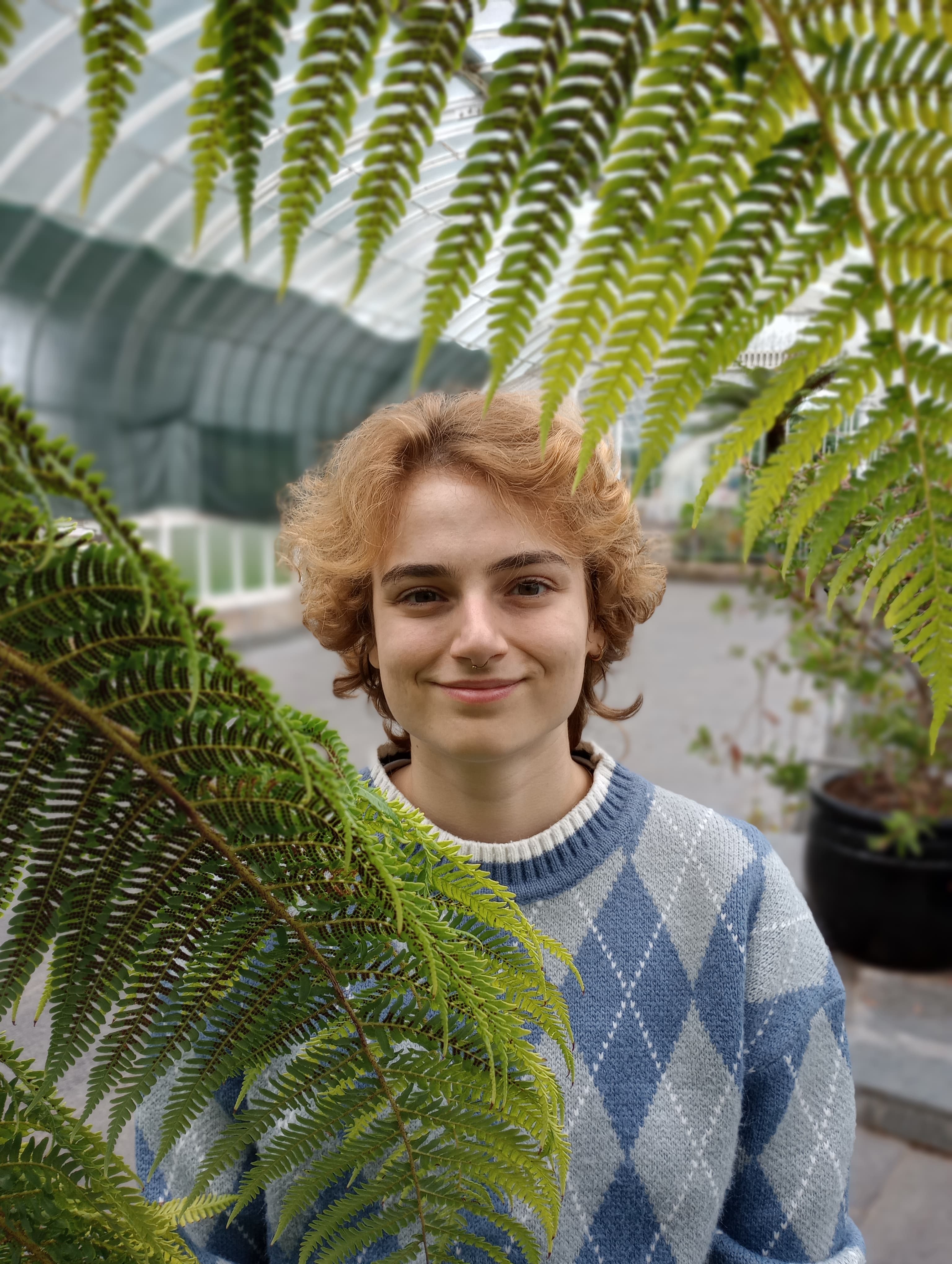Profile photo